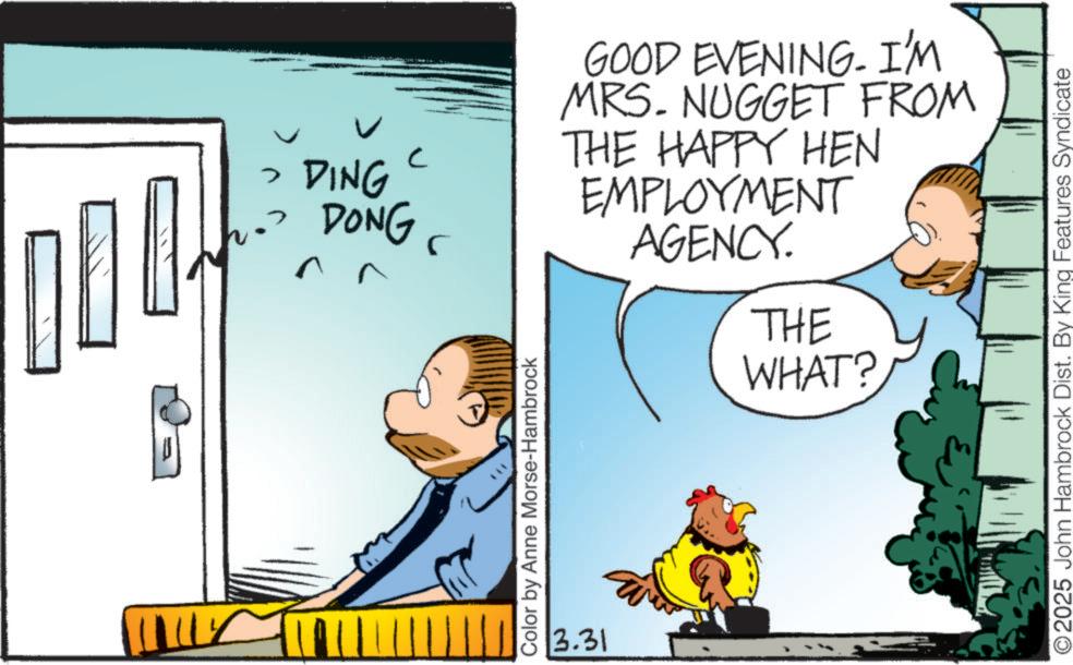 Graphics OCR: 2. > DING DONG > 5 Color by Anne Morse-Hambrock 3.31 GOOD EVENING. I'M MRS. NUGGET FROM THE HAPPY HEN EMPLOYMENT AGENCY. THE WHAT? O2025 John Hambrock Dist. By King Features Syndicate 2 . > DING DONG > 5 Color by Anne Morse - Hambrock 3.31 GOOD EVENING . I'M MRS . NUGGET FROM THE HAPPY HEN EMPLOYMENT AGENCY . THE WHAT ? O2025 John Hambrock Dist . By King Features Syndicate