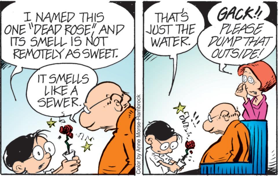 Pleased OCR: I NAMED THIS ONE "DEAD ROSE" AND ITS SMELL IS NOT REMOTELY AS SWEET. IT SMELLS LIKE A SEWER. THAT'S JUST THE WATER. GACK!! PLEASE DUMP THAT OUTSIDE! Color by Anne Morse-Hambrock I NAMED THIS ONE " DEAD ROSE " AND ITS SMELL IS NOT REMOTELY AS SWEET . IT SMELLS LIKE A SEWER . THAT'S JUST THE WATER . GACK !! PLEASE DUMP THAT OUTSIDE ! Color by Anne Morse - Hambrock