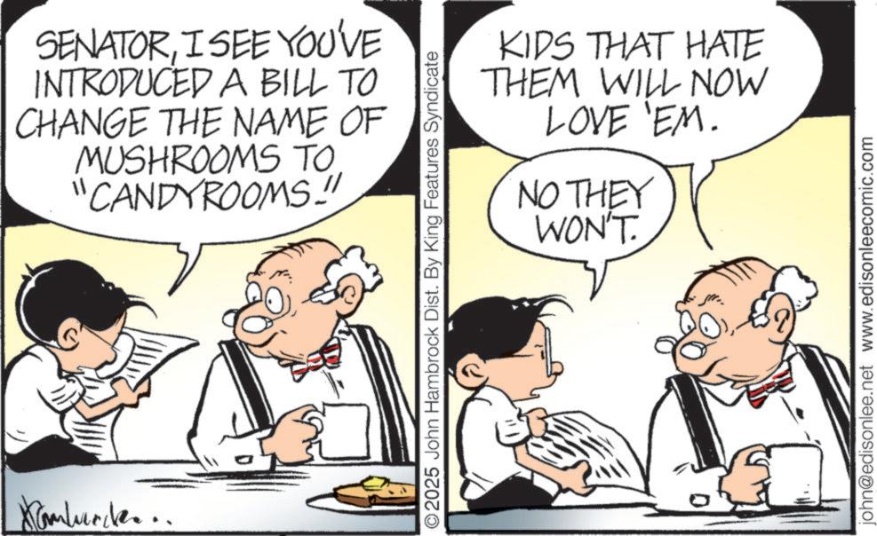 Photo caption OCR: Kombure... SENATORI SEE YOU'VE INTRODUCED A BILL TO CHANGE THE NAME OF MUSHROOMS TO "CANDYROOMS.!" KIDS THAT HATE THEM WILL NOW LOVE 'EM. NO THEY WON'T. ©2025 John Hambrock Dist. By King Features Syndicate john@edisonlee.net www.edisonleecomic.com Kombure ... SENATORI SEE YOU'VE INTRODUCED A BILL TO CHANGE THE NAME OF MUSHROOMS TO " CANDYROOMS . ! " KIDS THAT HATE THEM WILL NOW LOVE ' EM . NO THEY WON'T . © 2025 John Hambrock Dist . By King Features Syndicate john@edisonlee.net www.edisonleecomic.com