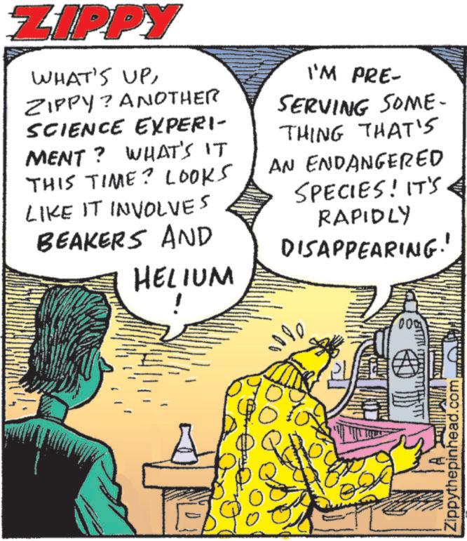 Comic book OCR: ZIPPY WHAT'S UPZIPPY? ANOTHER SCIENCE EXPERI- MENT? WHAT'S IT THIS TIME? LOOKS LIKE IT INVOLVES BEAKERS AND HELIUM I'M PRE- SERVING SOME- THING THAT'S AN ENDANGERED SPECIES! IT'S RAPIDLY DISAPPEARING." alle Zippythepinhead.com ZIPPY WHAT'S UPZIPPY ? ANOTHER SCIENCE EXPERI- MENT ? WHAT'S IT THIS TIME ? LOOKS LIKE IT INVOLVES BEAKERS AND HELIUM I'M PRE- SERVING SOME- THING THAT'S AN ENDANGERED SPECIES ! IT'S RAPIDLY DISAPPEARING . " alle Zippythepinhead.com