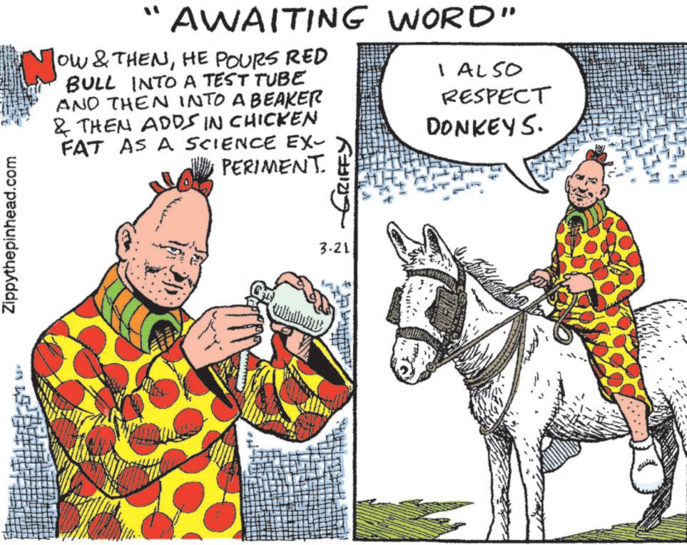 Pack animal OCR: Zippythepinhead.com Now " AWAITING WORD" OW & THENHE POURS RED BULL INTO A TEST TUBE AND THEN INTO A BEAKER & THEN ADDS IN CHICKEN FAT AS A SCIENCE EX- PERIMENT. GRIFFY I ALSO RESPECT DONKEYS. 3.21 Zippythepinhead.com Now " AWAITING WORD " OW & THENHE POURS RED BULL INTO A TEST TUBE AND THEN INTO A BEAKER & THEN ADDS IN CHICKEN FAT AS A SCIENCE EX- PERIMENT . GRIFFY I ALSO RESPECT DONKEYS . 3.21