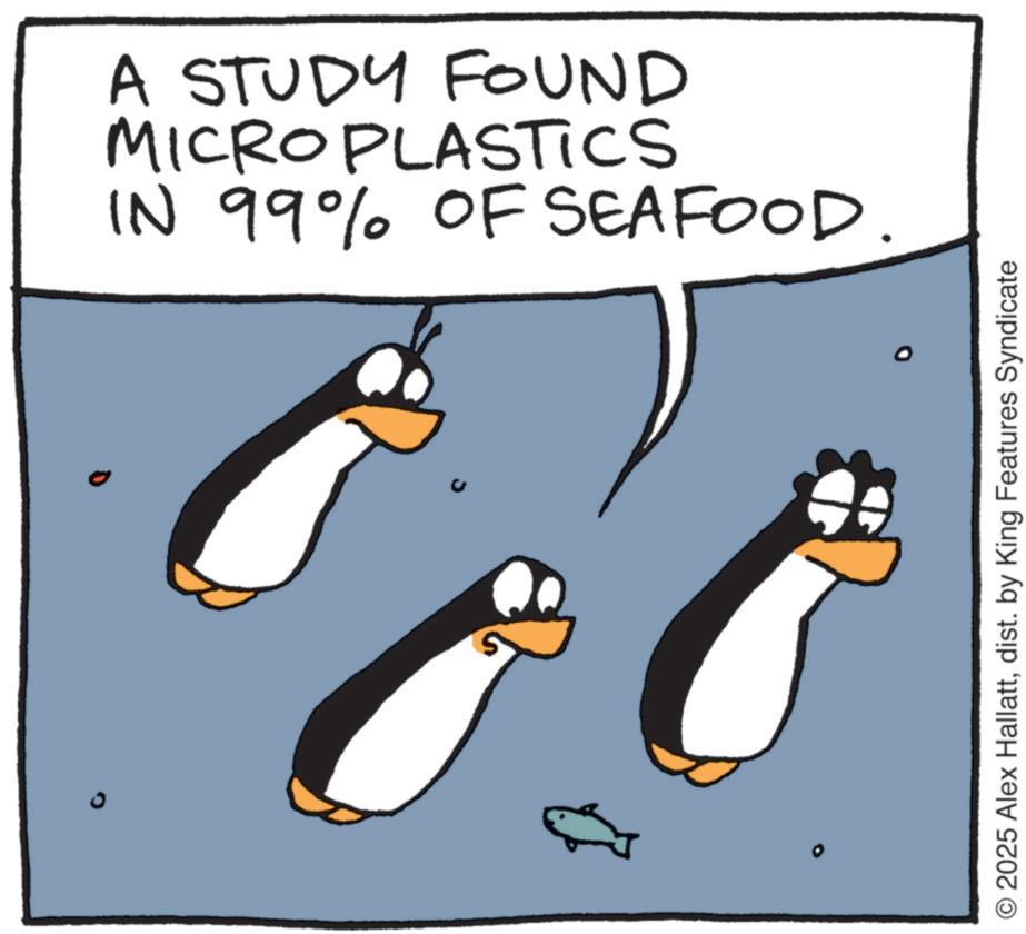 Beak OCR: A STUDY FOUND MICROPLASTICS IN 99% OF SEAFOOD. 2025 Alex Hallattdist. by King Features Syndicate A STUDY FOUND MICROPLASTICS IN 99 % OF SEAFOOD . 2025 Alex Hallattdist . by King Features Syndicate