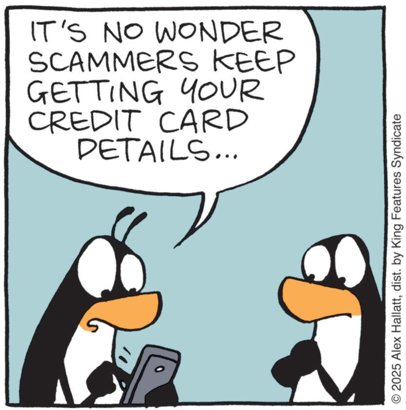 Animated cartoon OCR: IT'S NO WONDER SCAMMERS KEEP GETTING YOUR CREDIT CARD DETAILS... 2025 Alex Hallattdist. by King Features Syndicate IT'S NO WONDER SCAMMERS KEEP GETTING YOUR CREDIT CARD DETAILS ... 2025 Alex Hallattdist . by King Features Syndicate