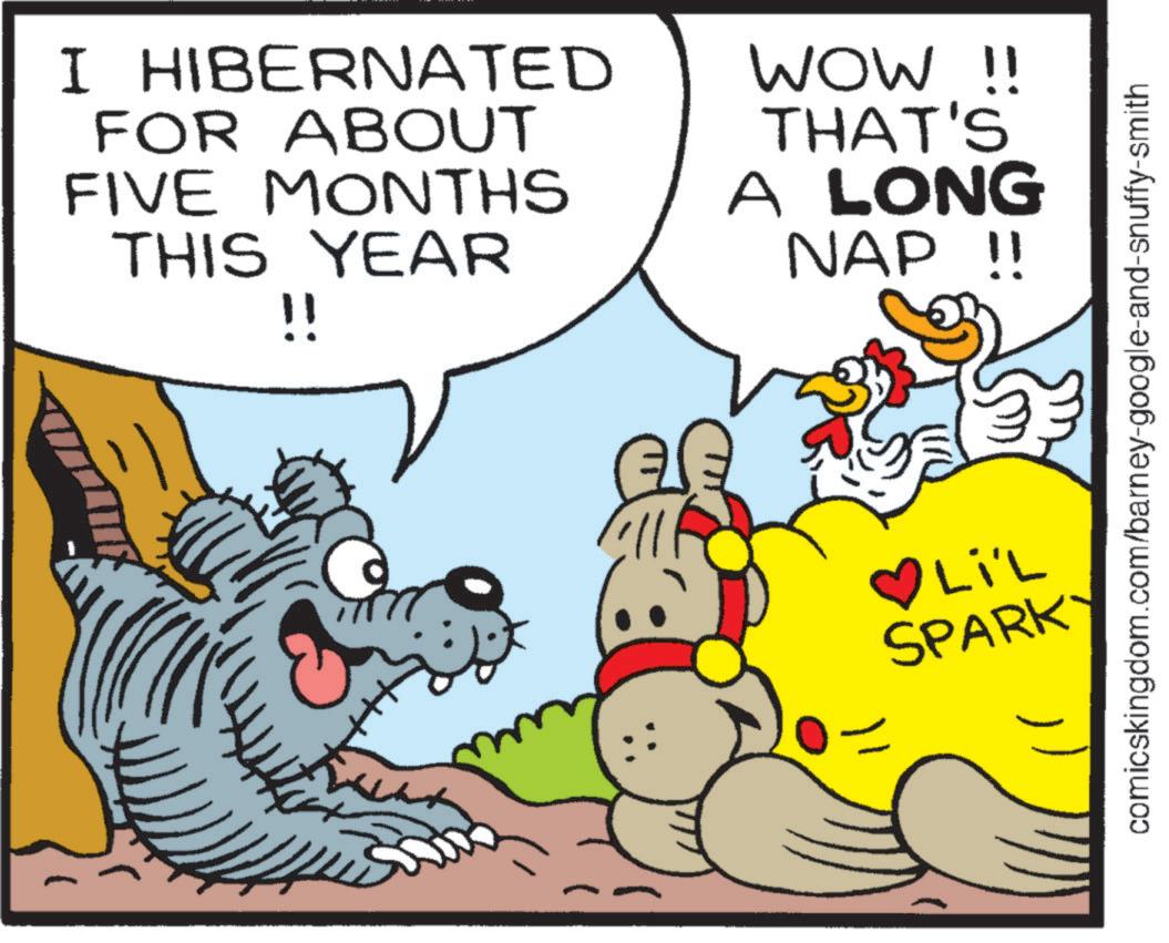 Fictional character OCR: I HIBERNATED FOR ABOUT FIVE MONTHS THIS YEAR !! WOW !! THAT'S A LONG NAP !! comicskingdom.com/barney-google-and-snuffy-smith OLIL SPARK I HIBERNATED FOR ABOUT FIVE MONTHS THIS YEAR !! WOW !! THAT'S A LONG NAP !! comicskingdom.com/barney-google-and-snuffy-smith OLIL SPARK