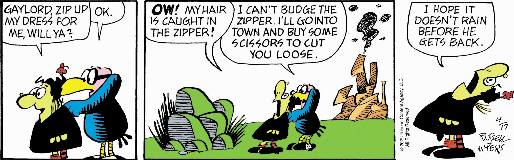 Beak OCR: GAYLORDZIP UP OK. MY DRESS FOR MEWILL YA? OW! MY HAIR ) I CAN'T BUDGE THE IS CAUGHT IN THE ZIPPER! ZIPPER. I'LL GO INTO TOWN AND BUY SOME SCISSORS TO CUT YOU LOOSE. I HOPE IT DOESN'T RAIN BEFORE HE GETS BACK. 2025 Tribune Content AgencyLLC All Rights Reserved 417 RUSSELL MYERS GAYLORDZIP UP OK . MY DRESS FOR MEWILL YA ? OW ! MY HAIR ) I CAN'T BUDGE THE IS CAUGHT IN THE ZIPPER ! ZIPPER . I'LL GO INTO TOWN AND BUY SOME SCISSORS TO CUT YOU LOOSE . I HOPE IT DOESN'T RAIN BEFORE HE GETS BACK . 2025 Tribune Content AgencyLLC All Rights Reserved 417 RUSSELL MYERS