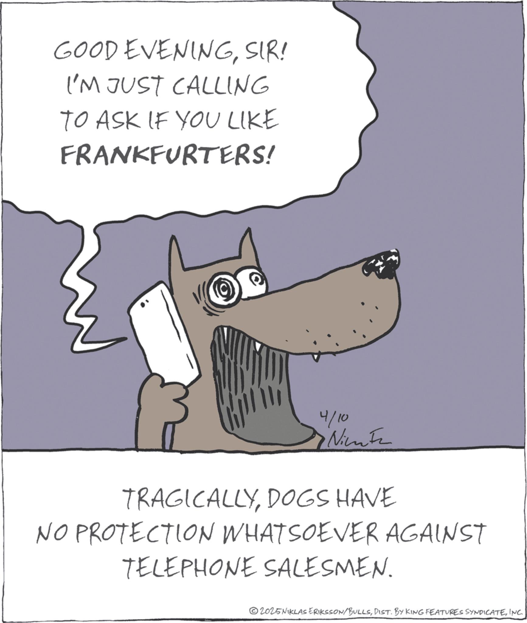 Sketch OCR: GOOD EVENINGSIR! I'M JUST CALLING TO ASK IF YOU LIKE FRANKFURTERS! 4/10 Nime TRAGICALLYDOGS HAVE NO PROTECTION WHATSOEVER AGAINST TELEPHONE SALESMEN. 2025NIKLAS ERIKSSON/BULLSINC. GOOD EVENINGSIR ! I'M JUST CALLING TO ASK IF YOU LIKE FRANKFURTERS ! 4/10 Nime TRAGICALLYDOGS HAVE NO PROTECTION WHATSOEVER AGAINST TELEPHONE SALESMEN . 2025NIKLAS ERIKSSON / BULLSDIST . BY KING FEATURES SYNDICATEINC .