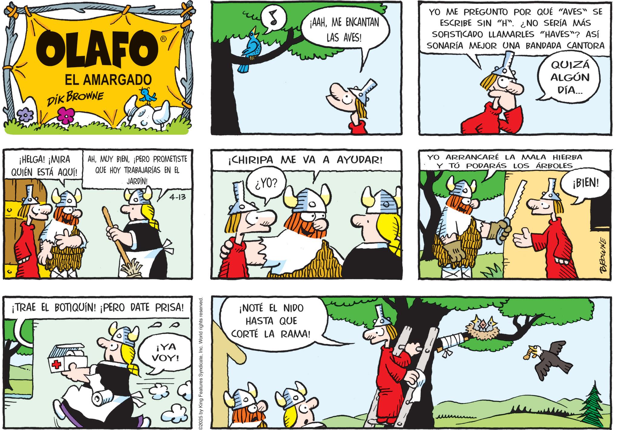Gesture OCR: OLAFO EL AMARGADO DIK BROWNE ¡HELGA! ¡MIRA QUIÉN ESTÁ AQUÍ! AH¡PERO PROMETISTE QUE HOY TRABAJARÍAS EN EL JARDÍN! ¡TRAE EL BOTIQUÍN! ¡PERO DATE PRISA! ¡YA VOY! 4-13 C2025 by King Features SyndicateInc. World rights reserved. ¡AAHME ENCANTAN LAS AVES! YO ME PREGUNTO POR QUÉ "AVES" SE ESCRIBE SIN "H". ¿NO SERÍA MÁS SOFISTICADO LLAMARLES "HAVES"? ASÍ SONARÍA MEJOR UNA BANDADA CANTORA QUIZÁ ALGÚN DÍA... ¡CHIRIPA ME VA A AYUDAR! YO ARRANCARÉ LA MALA HIERBA Y TÚ PODARÁS LOS ÁRBOLES ¿YO? ¡BIEN! ¡NOTÉ EL NIDO HASTA QUE CORTE LA RAMA! BROWNE OLAFO EL AMARGADO DIK BROWNE ¡ HELGA ! ¡ MIRA QUIÉN ESTÁ AQUÍ ! AHMUY BIEN¡ PERO PROMETISTE QUE HOY TRABAJARÍAS EN EL JARDÍN ! ¡ TRAE EL BOTIQUÍN ! ¡ PERO DATE PRISA ! ¡ YA VOY ! 4-13 C2025 by King Features SyndicateInc. World rights reserved . ¡ AAHME ENCANTAN LAS AVES ! YO ME PREGUNTO POR QUÉ " AVES " SE ESCRIBE SIN " H " . ¿ NO SERÍA MÁS SOFISTICADO LLAMARLES " HAVES " ? ASÍ SONARÍA MEJOR UNA BANDADA CANTORA QUIZÁ ALGÚN DÍA ... ¡ CHIRIPA ME VA A AYUDAR ! YO ARRANCARÉ LA MALA HIERBA Y TÚ PODARÁS LOS ÁRBOLES ¿ YO ? ¡ BIEN ! ¡ NOTÉ EL NIDO HASTA QUE CORTE LA RAMA ! BROWNE