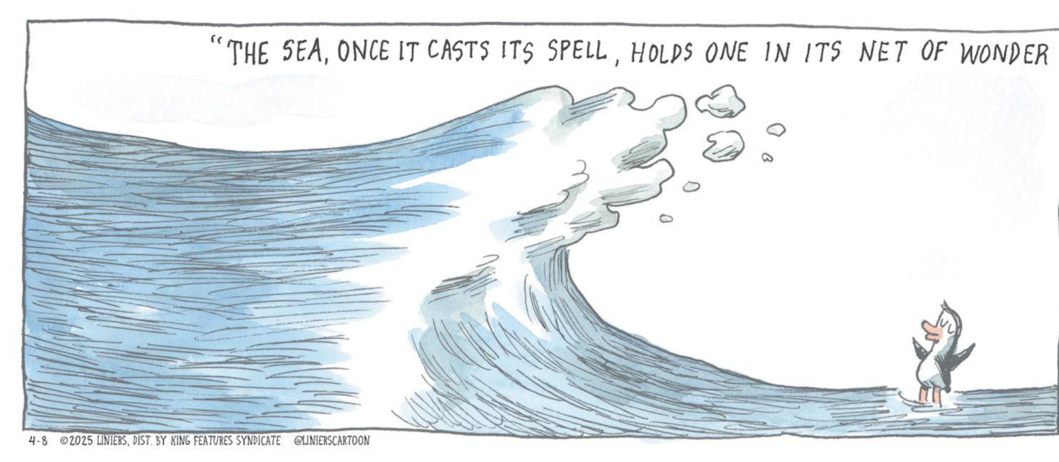 Graphics OCR: "THE SEAHOLDS ONE IN ITS NET OF WONDER 4-8 2025 LINIERSDIST. BY KING FEATURES SYNDICATE @LINIERSCARTOON " THE SEAONCE IT CASTS ITS SPELLHOLDS ONE IN ITS NET OF WONDER 4-8 2025 LINIERSDIST . BY KING FEATURES SYNDICATE @LINIERSCARTOON