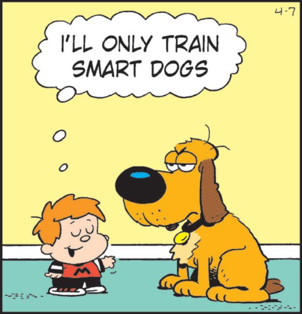 Graphics OCR: I'LL ONLY TRAIN SMART DOGS 4-7 O = I'LL ONLY TRAIN SMART DOGS 4-7 O =