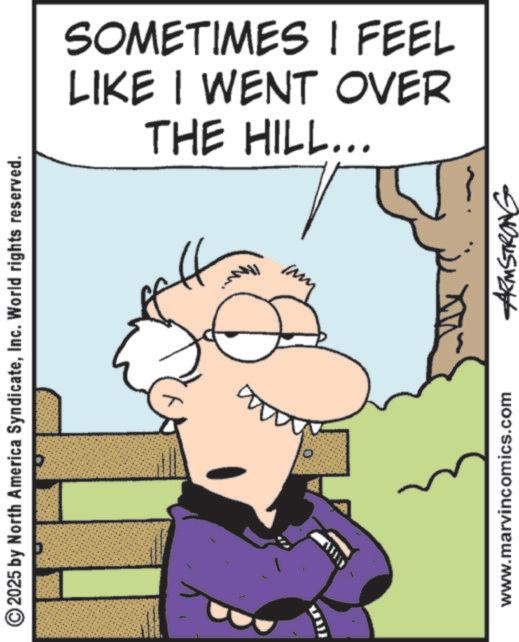 Photo caption OCR: ©2025 by North America SyndicateInc. World rights reserved. THE HILL... LIKE I WENT OVER SOMETIMES I FEEL www.marvincomics.com ARMSTRONG © 2025 by North America SyndicateInc. World rights reserved . THE HILL ... LIKE I WENT OVER SOMETIMES I FEEL www.marvincomics.com ARMSTRONG