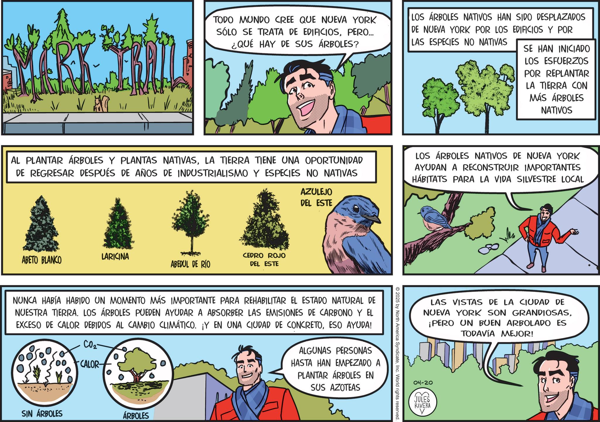 Fictional character OCR: TODO MUNDO CREE QUE NUEVA YORK SÓLO SE TRATA DE EDIFICIOSPERO... ¿QUÉ HAY DE SUS ÁRBOLES? LOS ÁRBOLES NATIVOS HAN SIDO DESPLAZADOS DE NUEVA YORK POR LOS EDIFICIOS Y POR LAS ESPECIES NO NATIVAS SE HAN INICIADO LOS ESFUERZOS POR REPLANTAR LA TIERRA CON MÁS ÁRBOLES NATIVOS AL PLANTAR ÁRBOLES Y PLANTAS NATIVASLA TIERRA TIENE UNA OPORTUNIDAD DE REGRESAR DESPUÉS DE AÑOS DE INDUSTRIALISMO Y ESPECIES NO NATIVAS LOS ÁRBOLES NATIVOS DE NUEVA YORK AYUDAN A RECONSTRUIR IMPORTANTES HÁBITATS PARA LA VIDA SILVESTRE LOCAL ABETO BLANCO LARICINA ABEDUL DE RÍO CEDRO ROJO DEL ESTE AZULEJO DEL ESTE NUNCA HABÍA HABIDO UN MOMENTO MÁS IMPORTANTE PARA REHABILITAR EL ESTADO NATURAL DE NUESTRA TIERRA. LOS ÁRBOLES PUEDEN AYUDAR A ABSORBER LAS EMISIONES DE CARBONO Y EL EXCESO DE CALOR DEBIDOS AL CAMBIO CLIMÁTICO. ¡Y EN UNA CIUDAD DE CONCRETOESO AYUDA! CO2 CALOR- ALGUNAS PERSONAS HASTA HAN EMPEZADO A PLANTAR ÁRBOLES EN SUS AZOTEAS SIN ÁRBOLES ÁRBOLES 2025 by North America SyndicateInc. World rights reserved. LAS VISTAS DE LA CIUDAD DE NUEVA YORK SON GRANDIOSAS¡PERO UN BUEN ARBOLADO ES TODAVÍA MEJOR! 04-20 JULES S RIVERA ?? TODO MUNDO CREE QUE NUEVA YORK SÓLO SE TRATA DE EDIFICIOSPERO ... ¿ QUÉ HAY DE SUS ÁRBOLES ? LOS ÁRBOLES NATIVOS HAN SIDO DESPLAZADOS DE NUEVA YORK POR LOS EDIFICIOS Y POR LAS ESPECIES NO NATIVAS SE HAN INICIADO LOS ESFUERZOS POR REPLANTAR LA TIERRA CON MÁS ÁRBOLES NATIVOS AL PLANTAR ÁRBOLES Y PLANTAS NATIVASLA TIERRA TIENE UNA OPORTUNIDAD DE REGRESAR DESPUÉS DE AÑOS DE INDUSTRIALISMO Y ESPECIES NO NATIVAS LOS ÁRBOLES NATIVOS DE NUEVA YORK AYUDAN A RECONSTRUIR IMPORTANTES HÁBITATS PARA LA VIDA SILVESTRE LOCAL ABETO BLANCO LARICINA ABEDUL DE RÍO CEDRO ROJO DEL ESTE AZULEJO DEL ESTE NUNCA HABÍA HABIDO UN MOMENTO MÁS IMPORTANTE PARA REHABILITAR EL ESTADO NATURAL DE NUESTRA TIERRA . LOS ÁRBOLES PUEDEN AYUDAR A ABSORBER LAS EMISIONES DE CARBONO Y EL EXCESO DE CALOR DEBIDOS AL CAMBIO CLIMÁTICO . ¡ Y EN UNA CIUDAD DE CONCRETOESO AYUDA ! CO2 CALOR- ALGUNAS PERSONAS HASTA HAN EMPEZADO A PLANTAR ÁRBOLES EN SUS AZOTEAS SIN ÁRBOLES ÁRBOLES 2025 by North America SyndicateInc. World rights reserved . LAS VISTAS DE LA CIUDAD DE NUEVA YORK SON GRANDIOSAS¡ PERO UN BUEN ARBOLADO ES TODAVÍA MEJOR ! 04-20 JULES S RIVERA ??