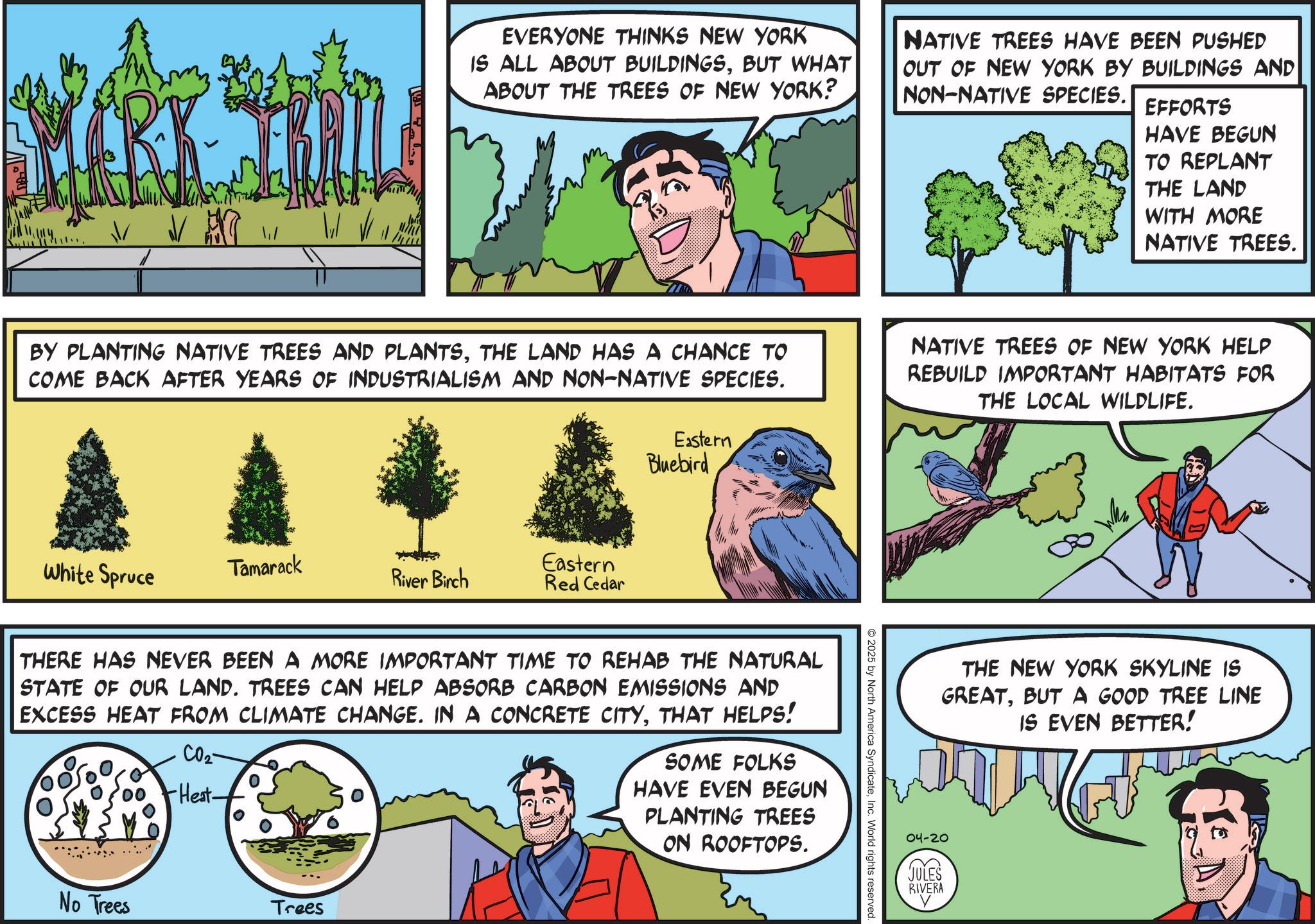 Animated cartoon OCR: EVERYONE THINKS NEW YORK IS ALL ABOUT BUILDINGSBUT WHAT ABOUT THE TREES OF NEW YORK? NATIVE TREES HAVE BEEN PUSHED OUT OF NEW YORK BY BUILDINGS AND NON-NATIVE SPECIES.| EFFORTS HAVE BEGUN TO REPLANT THE LAND WITH MORE NATIVE TREES. BY PLANTING NATIVE TREES AND PLANTSTHE LAND HAS A CHANCE TO COME BACK AFTER YEARS OF INDUSTRIALISM AND NON-NATIVE SPECIES. NATIVE TREES OF NEW YORK HELP REBUILD IMPORTANT HABITATS FOR THE LOCAL WILDLIFE. White Spruce Tamarack River Birch Eastern Red Cedar Eastern Bluebird THERE HAS NEVER BEEN A MORE IMPORTANT TIME TO REHAB THE NATURAL STATE OF OUR LAND. TREES CAN HELP ABSORB CARBON EMISSIONS AND EXCESS HEAT FROM CLIMATE CHANGE. IN A CONCRETE CITYTHAT HELPS! CO2 Poo Heat- SOME FOLKS HAVE EVEN BEGUN PLANTING TREES ON ROOFTOPS. No Trees Trees 2025 by North America SyndicateInc. World rights reserved. THE NEW YORK SKYLINE IS GREATBUT A GOOD TREE LINE IS EVEN BETTER! 04-20 JULES RIVERA EVERYONE THINKS NEW YORK IS ALL ABOUT BUILDINGSBUT WHAT ABOUT THE TREES OF NEW YORK ? NATIVE TREES HAVE BEEN PUSHED OUT OF NEW YORK BY BUILDINGS AND NON - NATIVE SPECIES . | EFFORTS HAVE BEGUN TO REPLANT THE LAND WITH MORE NATIVE TREES . BY PLANTING NATIVE TREES AND PLANTSTHE LAND HAS A CHANCE TO COME BACK AFTER YEARS OF INDUSTRIALISM AND NON - NATIVE SPECIES . NATIVE TREES OF NEW YORK HELP REBUILD IMPORTANT HABITATS FOR THE LOCAL WILDLIFE . White Spruce Tamarack River Birch Eastern Red Cedar Eastern Bluebird THERE HAS NEVER BEEN A MORE IMPORTANT TIME TO REHAB THE NATURAL STATE OF OUR LAND . TREES CAN HELP ABSORB CARBON EMISSIONS AND EXCESS HEAT FROM CLIMATE CHANGE . IN A CONCRETE CITYTHAT HELPS ! CO2 Poo Heat- SOME FOLKS HAVE EVEN BEGUN PLANTING TREES ON ROOFTOPS . No Trees Trees 2025 by North America SyndicateInc. World rights reserved . THE NEW YORK SKYLINE IS GREATBUT A GOOD TREE LINE IS EVEN BETTER ! 04-20 JULES RIVERA