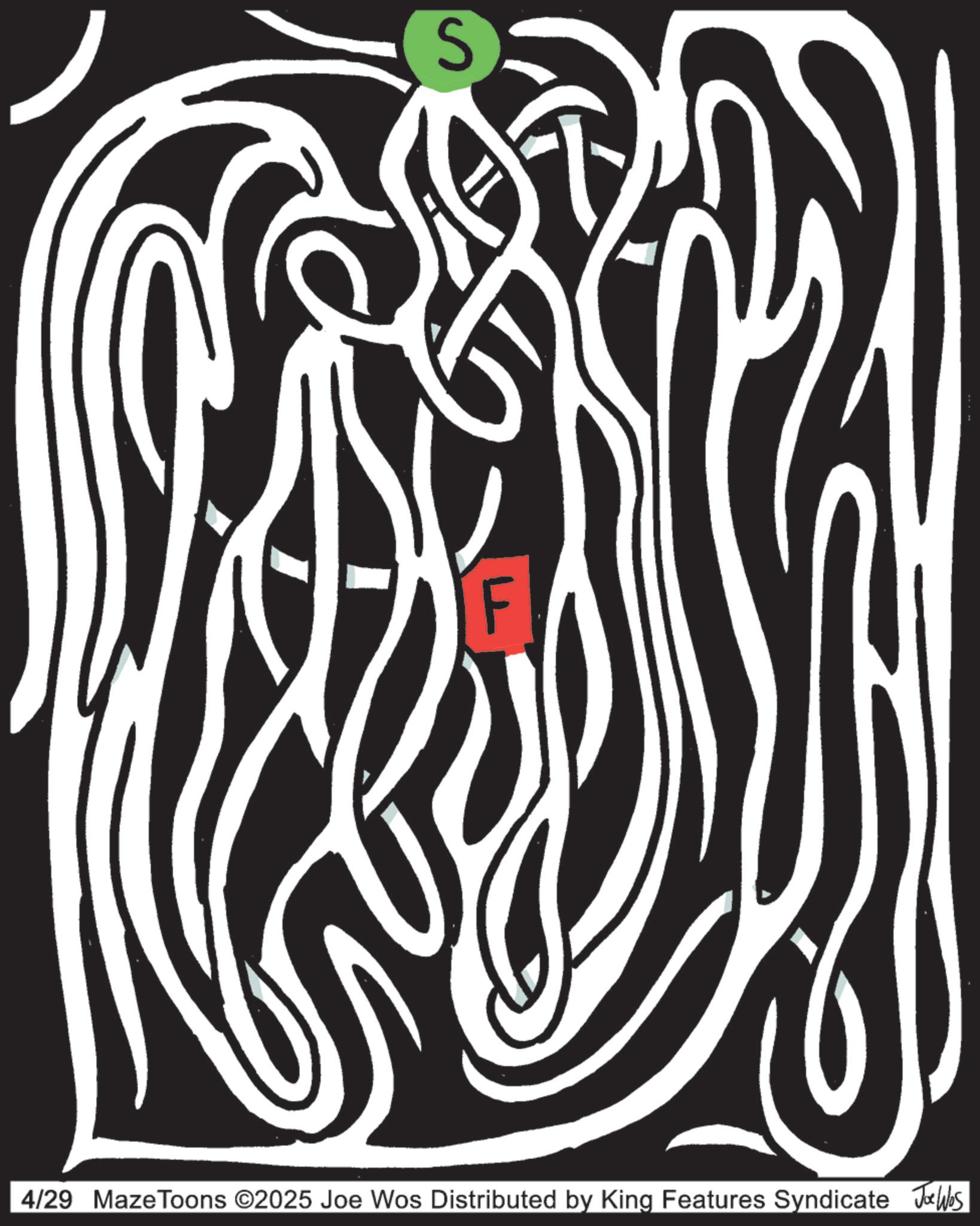 Graphic design OCR: S 4/29 Maze Toons ©2025 Joe Wos Distributed by King Features Syndicate Joe Was S 4/29 Maze Toons © 2025 Joe Wos Distributed by King Features Syndicate Joe Was