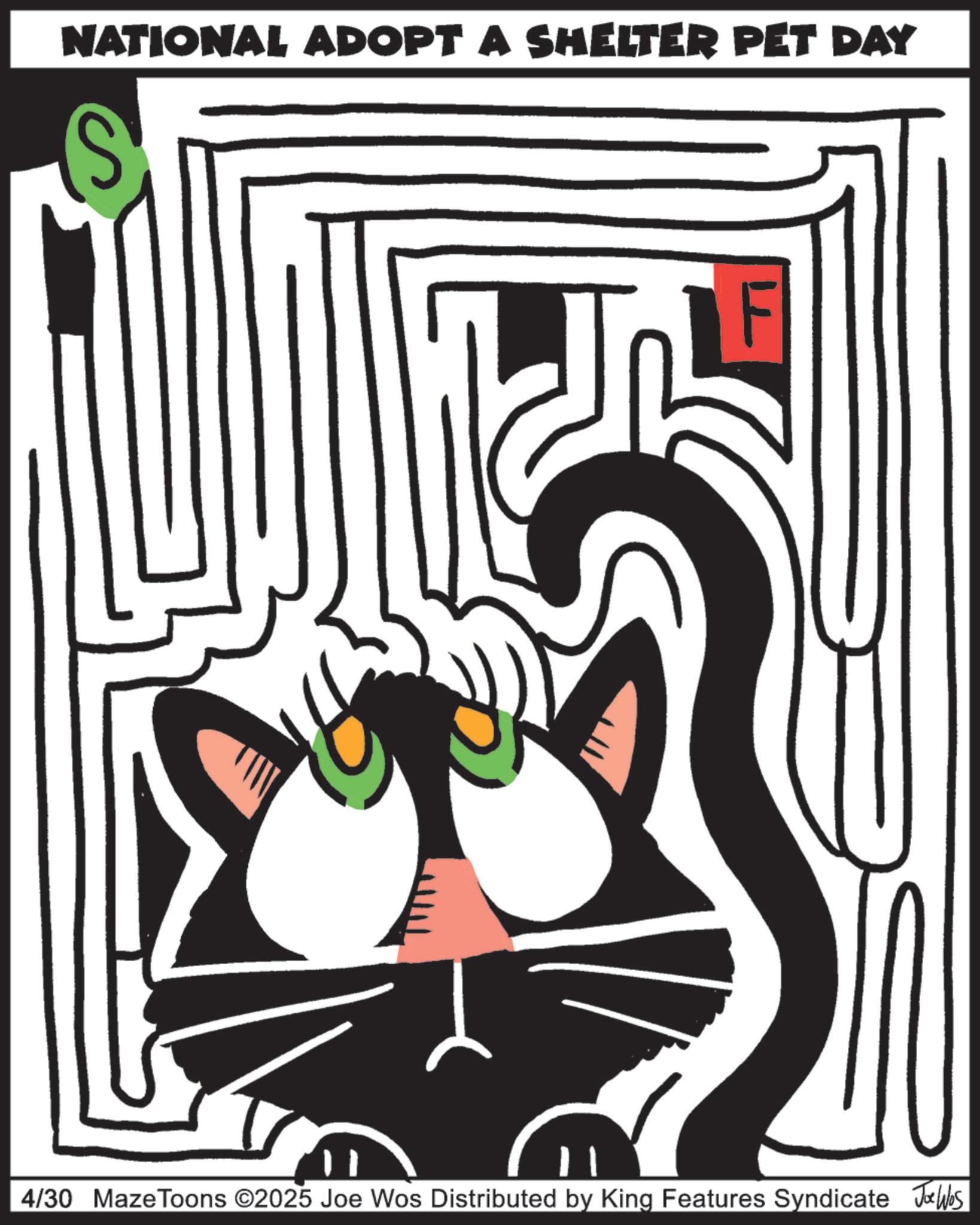 Cat OCR: NATIONAL ADOPT A SHELTER PET DAY S F 4/30 Maze Toons ©2025 Joe Wos Distributed by King Features Syndicate Jobs NATIONAL ADOPT A SHELTER PET DAY S F 4/30 Maze Toons © 2025 Joe Wos Distributed by King Features Syndicate Jobs