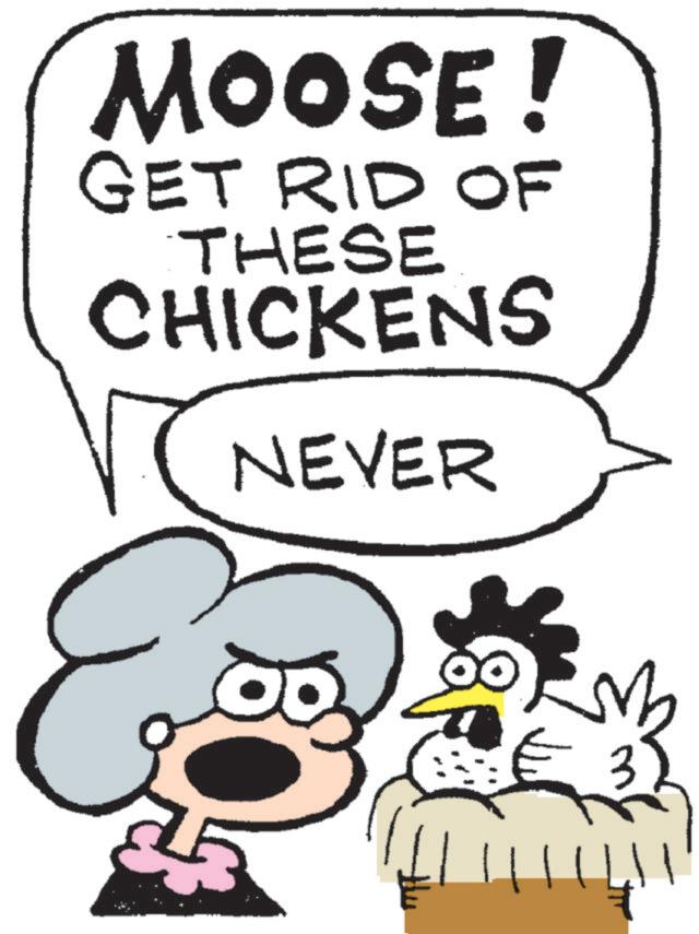 Fiction OCR: MOOSE! GET RID OF THESE CHICKENS NEVER MOOSE ! GET RID OF THESE CHICKENS NEVER
