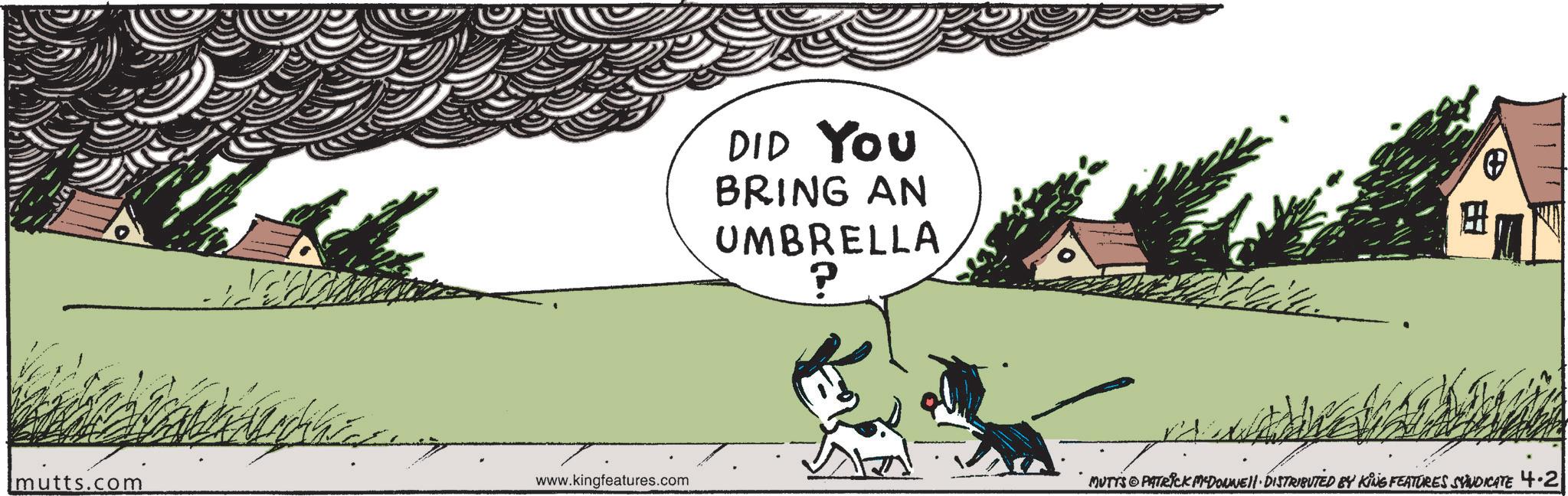 Photo caption OCR: mutts.com www.kingfeatures.com DID You BRING AN UMBRELLA ? MUTTS & PATRICK M'DONNELL DISTRIBUTED BY KING FEATURES SYNDICATE 4.2 mutts.com www.kingfeatures.com DID You BRING AN UMBRELLA ? MUTTS & PATRICK M'DONNELL DISTRIBUTED BY KING FEATURES SYNDICATE 4.2
