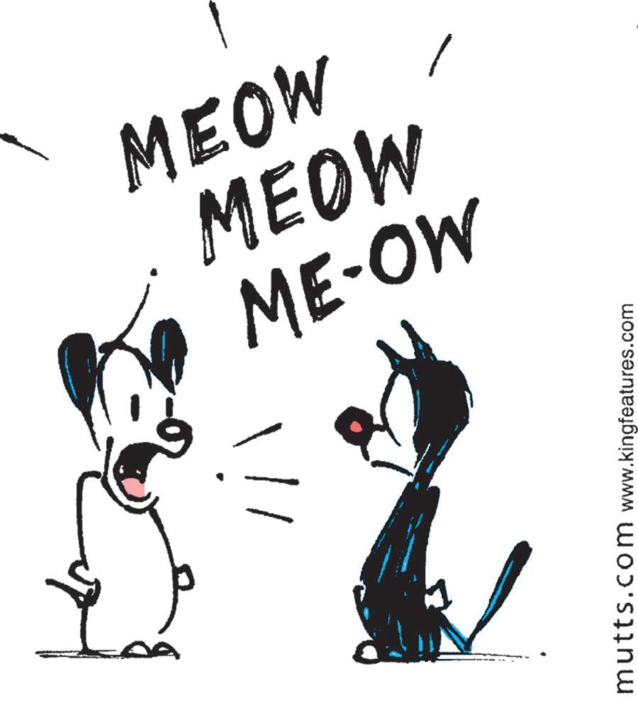 Animation OCR: MEOW MEOW ME-OW mutts.com www.kingfeatures.com MEOW MEOW ME - OW mutts.com www.kingfeatures.com