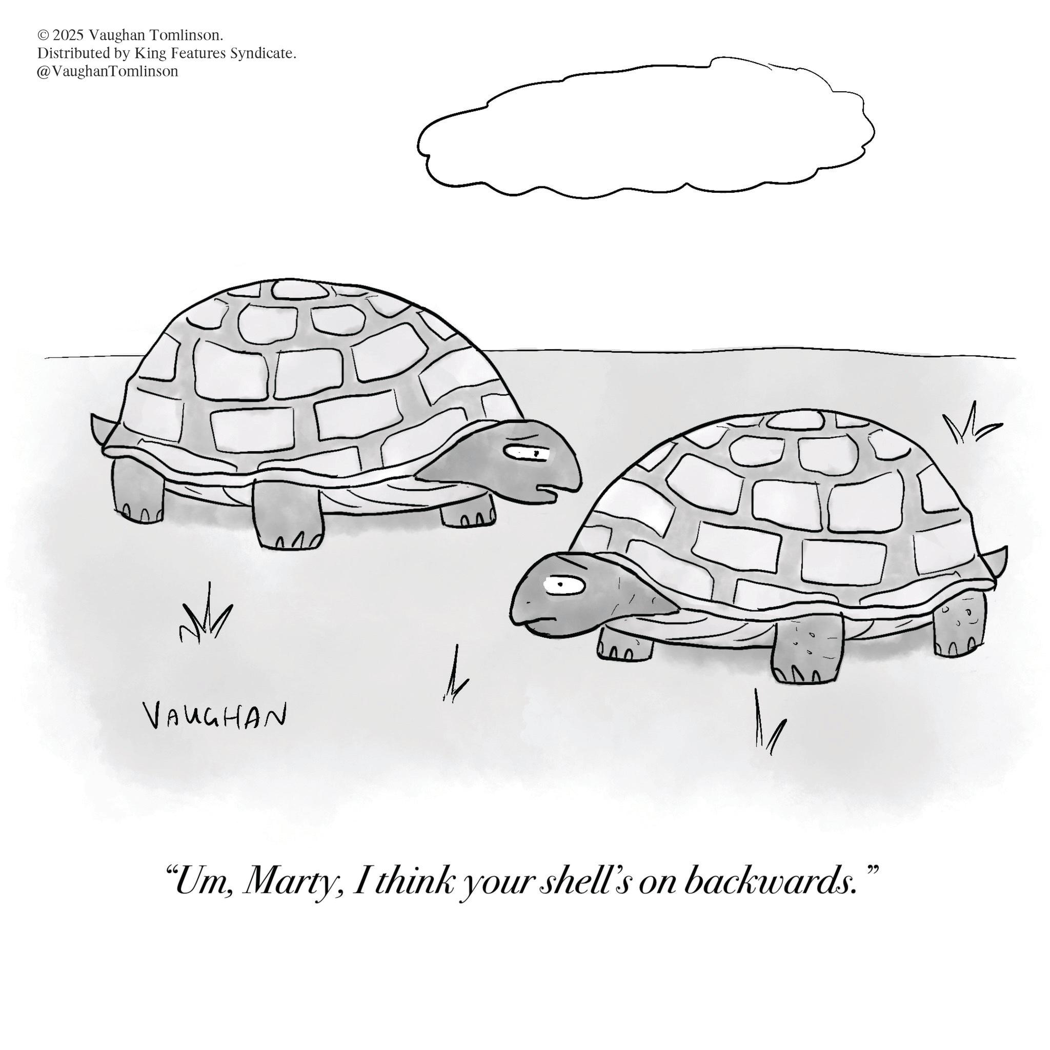 Line art OCR: © 2025 Vaughan Tomlinson. Distributed by King Features Syndicate. @VaughanTomlinson VAUGHAN "UmI think your shell's on backwards." ? © 2025 Vaughan Tomlinson . Distributed by King Features Syndicate . @VaughanTomlinson VAUGHAN " UmI think your shell's on backwards . " ?