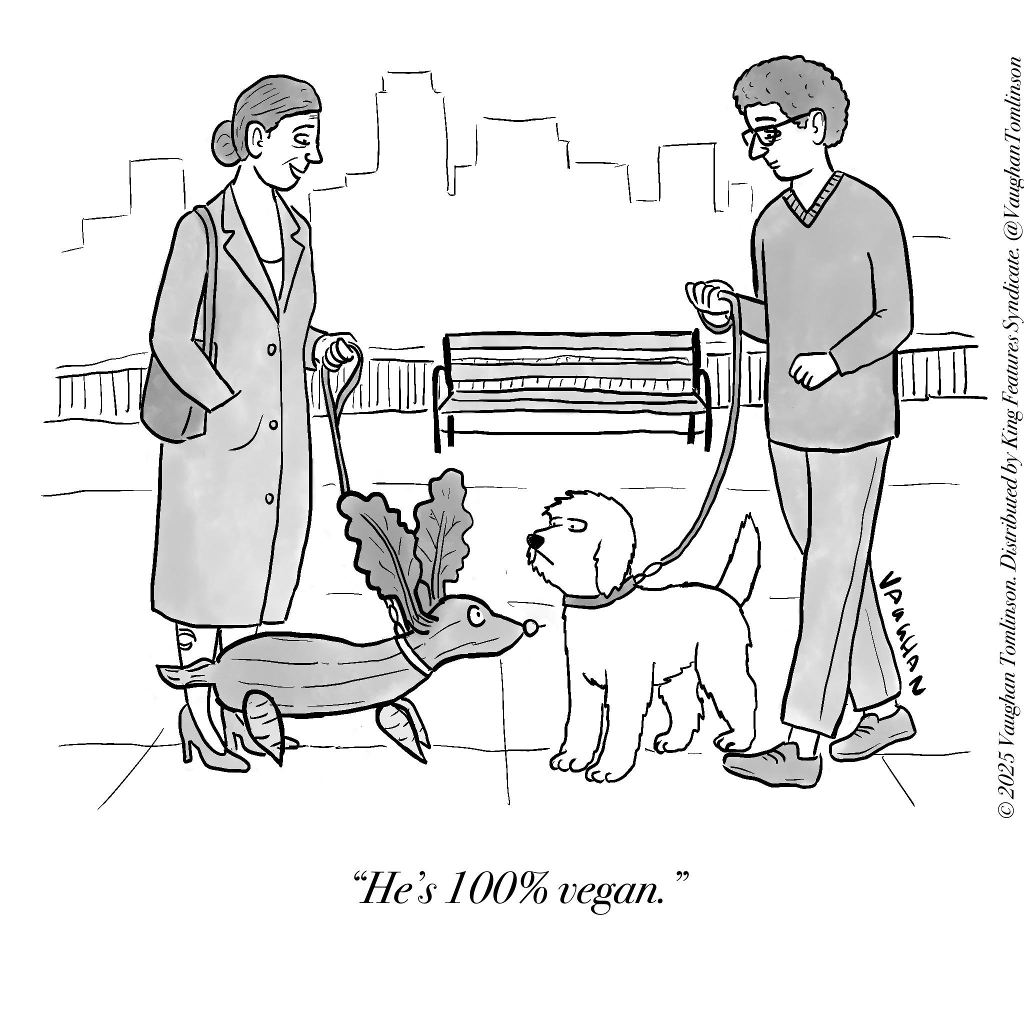 Sketch OCR: "He's 100% vegan. 66 © 2025 Vaughan Tomlinson. Distributed by King Features Syndicate. @VaughanTomlinson " He's 100 % vegan . 66 © 2025 Vaughan Tomlinson . Distributed by King Features Syndicate . @VaughanTomlinson