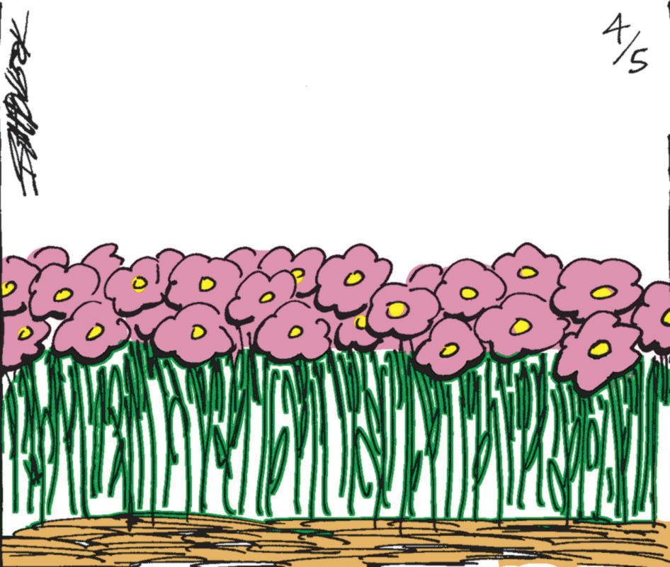 Geraniums OCR: x/S x / S