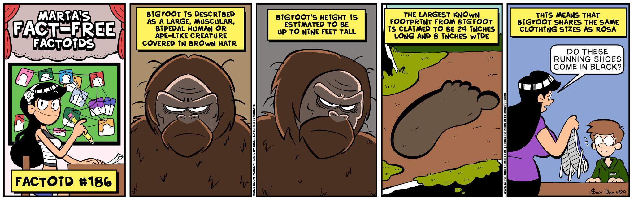 Happiness OCR: MARTA'S FACT-FREE FACTOIDS BIGFOOT IS DESCRIBED AS A LARGEBIPEDAL HUMAN OR APE-LIKE CREATURE COVERED IN BROWN HATR BIGFOOT'S HEIGHT TS ESTIMATED TO BE UP TO NINE FEET TALL THE LARGEST KNOWN FOOTPRINT FROM BIGFOOT TS CLAIMED TO BE 24 INCHES LONG AND 8 INCHES WIDE THIS MEANS THAT BIGFOOT SHARES THE SAME CLOTHING SIZES AS ROSA DO THESE RUNNING SHOES COME IN BLACK? FACTOTD #186 2 ? ES SYNDICATE W Supr Dee 4/29 MARTA'S FACT - FREE FACTOIDS BIGFOOT IS DESCRIBED AS A LARGEBIPEDAL HUMAN OR APE - LIKE CREATURE COVERED IN BROWN HATR BIGFOOT'S HEIGHT TS ESTIMATED TO BE UP TO NINE FEET TALL THE LARGEST KNOWN FOOTPRINT FROM BIGFOOT TS CLAIMED TO BE 24 INCHES LONG AND 8 INCHES WIDE THIS MEANS THAT BIGFOOT SHARES THE SAME CLOTHING SIZES AS ROSA DO THESE RUNNING SHOES COME IN BLACK ? FACTOTD # 186 2 ? ES SYNDICATE W Supr Dee 4/29