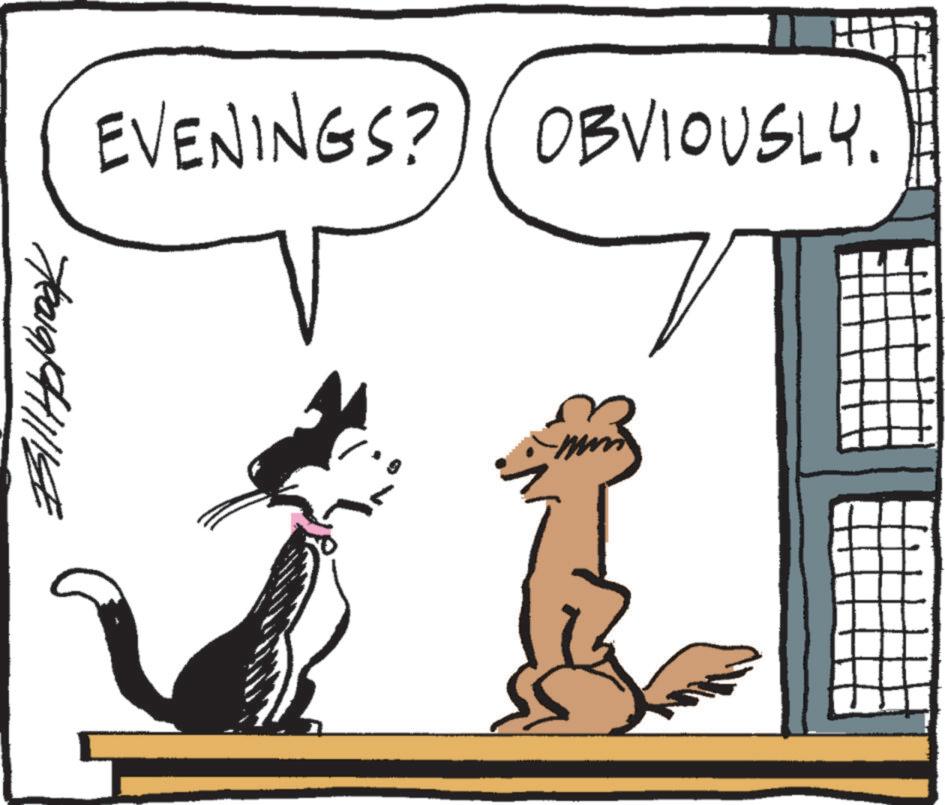 Line art OCR: EVENINGS? OBVIOUSLY. Yeag/41119 EVENINGS ? OBVIOUSLY . Yeag / 41119