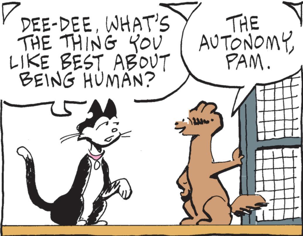 Cat OCR: DEE-DEEWHAT'S THE THING YOU LIKE BEST ABOUT BEING HUMAN? THE AUTONOMY PAM. DEE - DEEWHAT'S THE THING YOU LIKE BEST ABOUT BEING HUMAN ? THE AUTONOMY PAM .