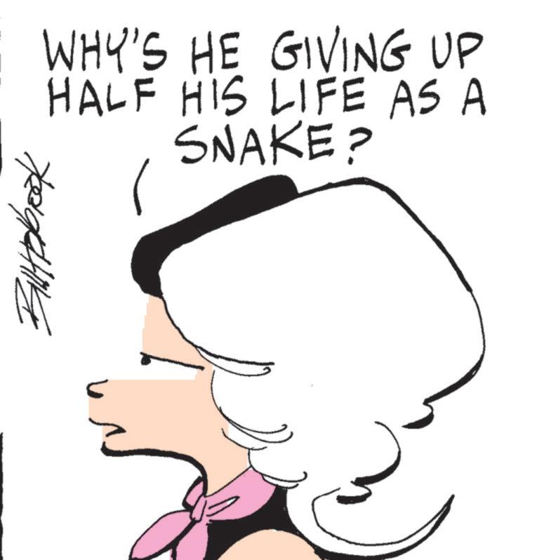 Clip art OCR: WHY'S HE GIVING UP HALF HIS LIFE AS A SNAKE? WHY'S HE GIVING UP HALF HIS LIFE AS A SNAKE ?