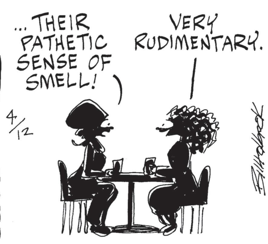 Animation OCR: .... THEIR PATHETIC SENSE OF SMELL! 4/12 VERY RUDIMENTARY. Billalbook .... THEIR PATHETIC SENSE OF SMELL ! 4/12 VERY RUDIMENTARY . Billalbook