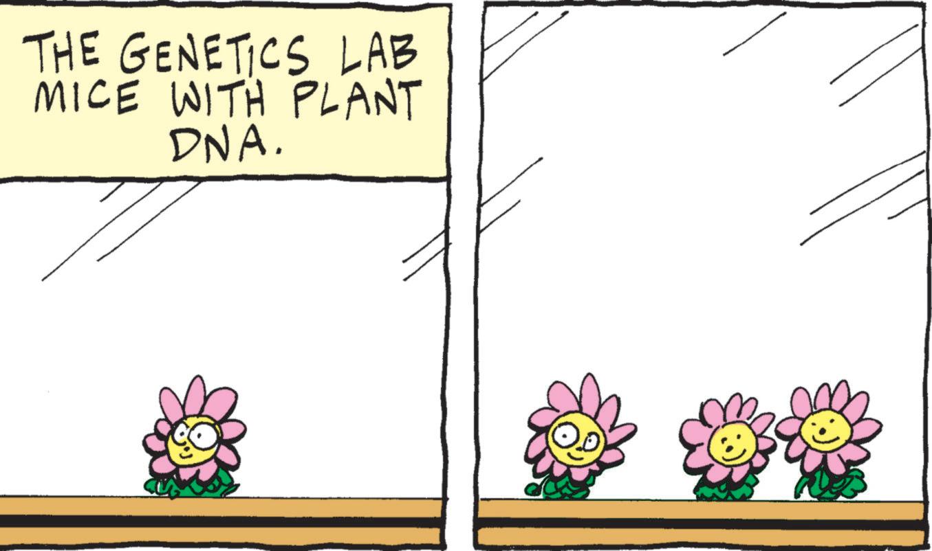 Graphics OCR: THE GENETICS LAB MICE WITH PLANT DNA. THE GENETICS LAB MICE WITH PLANT DNA .