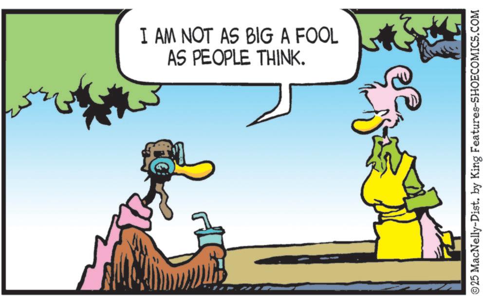 Graphics OCR: I AM NOT AS BIG A FOOL AS PEOPLE THINK. ©25 MacNelly-Dist. by King Features-SHOECOMICS.COM I AM NOT AS BIG A FOOL AS PEOPLE THINK . © 25 MacNelly - Dist . by King Features-SHOECOMICS.COM