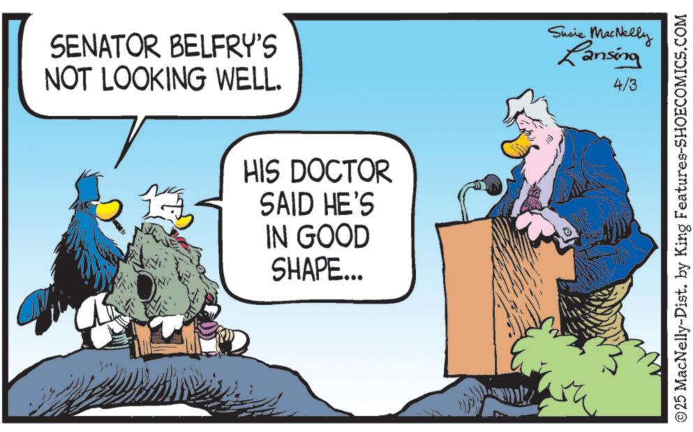 Fiction OCR: SENATOR BELFRY'S NOT LOOKING WELL. HIS DOCTOR SAID HE'S IN GOOD SHAPE... Susie MacNelly Lansing 4/3 ©25 MacNelly-Dist. by King Features-SHOECOMICS.COM SENATOR BELFRY'S NOT LOOKING WELL . HIS DOCTOR SAID HE'S IN GOOD SHAPE ... Susie MacNelly Lansing 4/3 © 25 MacNelly - Dist . by King Features-SHOECOMICS.COM