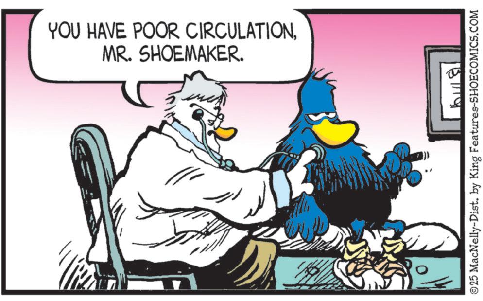 Clip art OCR: YOU HAVE POOR CIRCULATIONMR. SHOEMAKER. © 25 MacNelly-Dist. by King Features-SHOECOMICS.COM YOU HAVE POOR CIRCULATIONMR . SHOEMAKER . © 25 MacNelly - Dist . by King Features-SHOECOMICS.COM