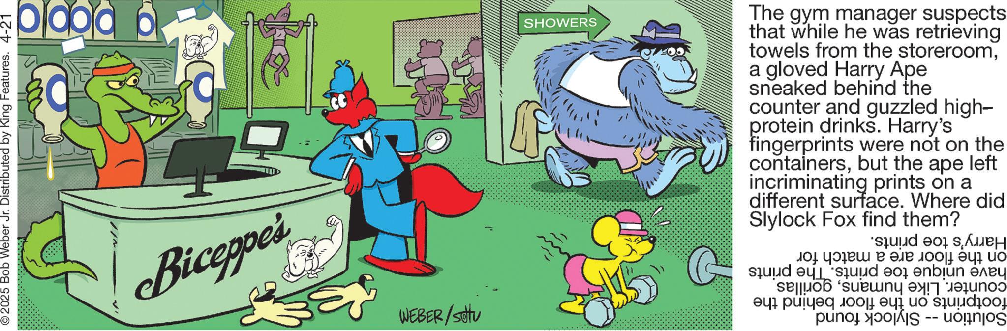 Comics OCR: 2025 Bob Weber Jr. Distributed by King Features. 4-21 blood Biceppes WEBER/setu SHOWERS The gym manager suspects that while he was retrieving towels from the storerooma gloved Harry Ape sneaked behind the counter and guzzled high- protein drinks. Harry's fingerprints were not on the containersbut the ape left incriminating prints on a different surface. Where did Slylock Fox find them? d to ??????? ?? ?? ?? a b d to be a per a 2025 Bob Weber Jr. Distributed by King Features . 4-21 blood Biceppes WEBER / setu SHOWERS The gym manager suspects that while he was retrieving towels from the storerooma gloved Harry Ape sneaked behind the counter and guzzled high- protein drinks . Harry's fingerprints were not on the containersbut the ape left incriminating prints on a different surface . Where did Slylock Fox find them ? d to ??????? ?? ?? ?? a b d to be a per a