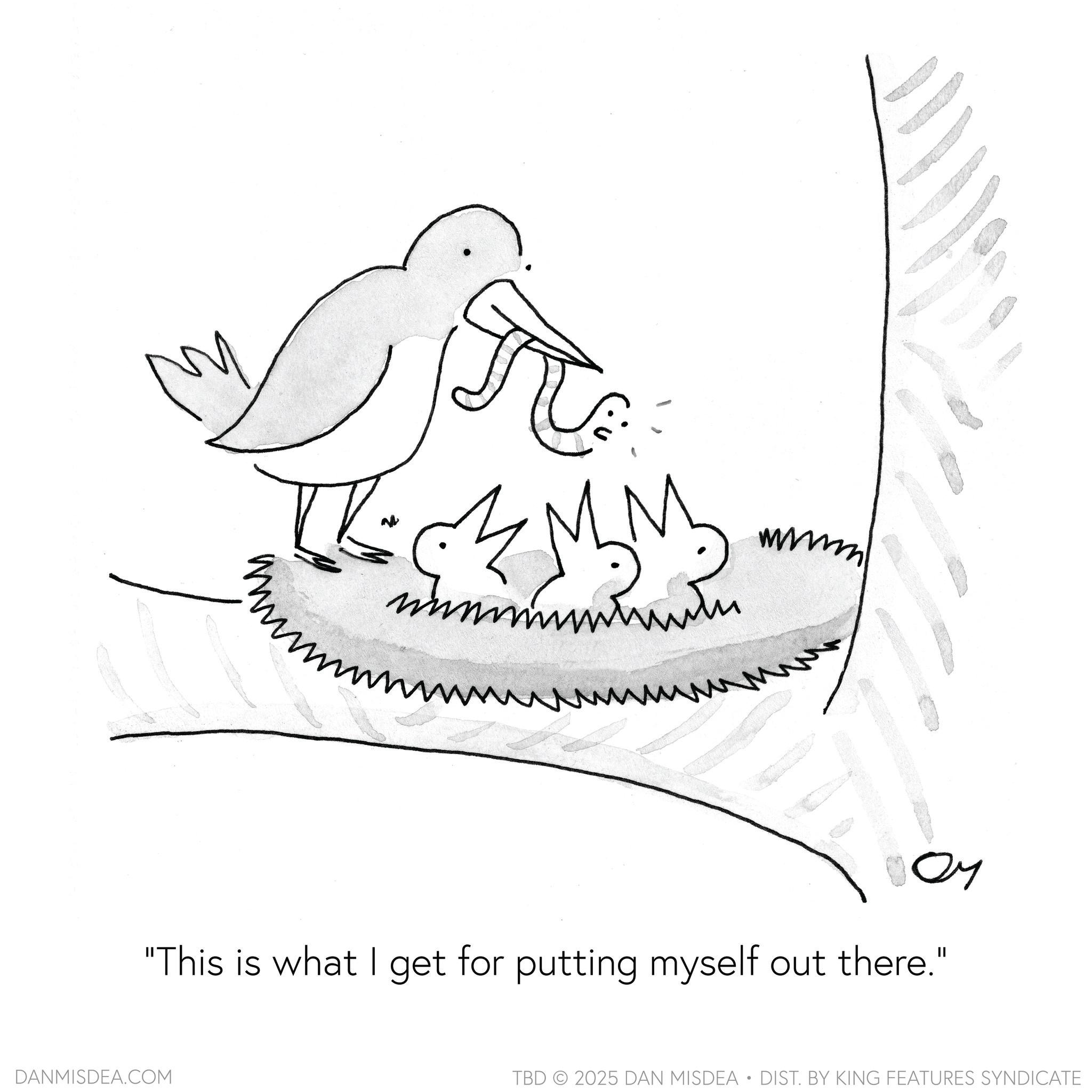 Tail OCR: mmmm ?? "This is what I get for putting myself out there." DANMISDEA.COM TBD 2025 DAN MISDEA • DIST. BY KING FEATURES SYNDICATE mmmm ?? " This is what I get for putting myself out there . " DANMISDEA.COM TBD 2025 DAN MISDEA • DIST . BY KING FEATURES SYNDICATE