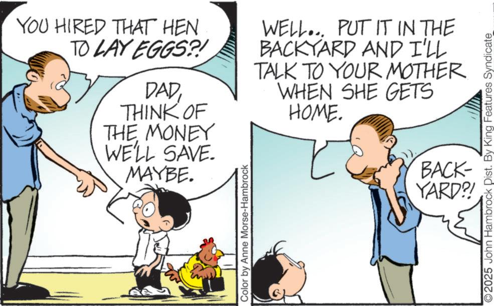 Animated cartoon OCR: YOU HIRED THAT HEN TO LAY EGGS?! DADTHINK OF THE MONEY WE'LL SAVE. MAYBE. WELL... PUT IT IN THE BACKYARD AND I'LL TALK TO YOUR MOTHER WHEN SHE GETS HOME. BACK- YARD?! Color by Anne Morse-Hambrock ©2025 John Hambrock Dist. By King Features Syndicate YOU HIRED THAT HEN TO LAY EGGS ?! DADTHINK OF THE MONEY WE'LL SAVE . MAYBE . WELL ... PUT IT IN THE BACKYARD AND I'LL TALK TO YOUR MOTHER WHEN SHE GETS HOME . BACK- YARD ?! Color by Anne Morse - Hambrock © 2025 John Hambrock Dist . By King Features Syndicate