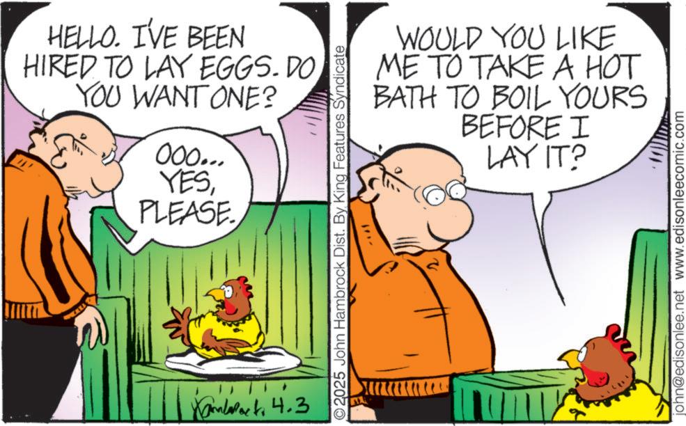 Poultry OCR: HELLO. I'VE BEEN HIRED TO LAY EGGS. DO YOU WANT ONE? 000... YESPLEASE. XmlPark4.3 WOULD YOU LIKE ME TO TAKE A HOT BATH TO BOIL YOURS BEFORE I LAY IT? O2025 John Hambrock Dist. By King Features Syndicate john@edisonlee.net www.edisonleecomic.com HELLO . I'VE BEEN HIRED TO LAY EGGS . DO YOU WANT ONE ? 000 ... YESPLEASE . XmlPark4.3 WOULD YOU LIKE ME TO TAKE A HOT BATH TO BOIL YOURS BEFORE I LAY IT ? O2025 John Hambrock Dist . By King Features Syndicate john@edisonlee.net www.edisonleecomic.com