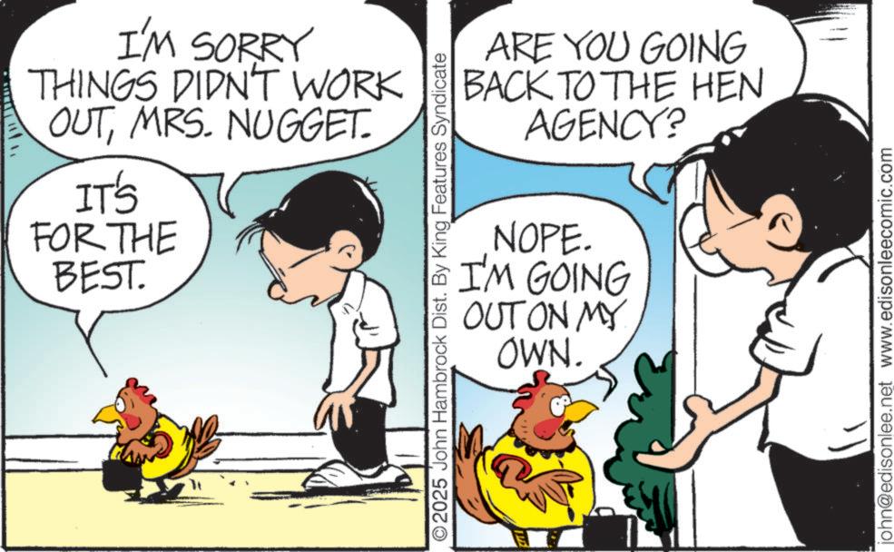 Photo caption OCR: I'M SORRY THINGS DIDN'T WORK OUTMRS. NUGGET. IT'S FOR THE BEST. O2025 John Hambrock Dist. By King Features Syndicate ARE YOU GOING BACK TO THE HEN AGENCY? NOPE. I'M GOING OUT ON MY OWN. john@edisonlee.net www.edisonleecomic.com I'M SORRY THINGS DIDN'T WORK OUTMRS . NUGGET . IT'S FOR THE BEST . O2025 John Hambrock Dist . By King Features Syndicate ARE YOU GOING BACK TO THE HEN AGENCY ? NOPE . I'M GOING OUT ON MY OWN . john@edisonlee.net www.edisonleecomic.com