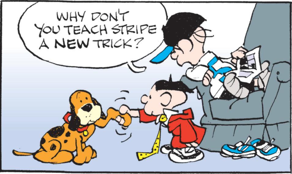Conversation OCR: WHY DON'T YOU TEACH STRIPE A NEW TRICK? WHY DON'T YOU TEACH STRIPE A NEW TRICK ?