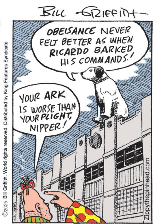 Animated cartoon OCR: 2025 Bill Griffith. World rights reserved. Distributed by King Features Syndicate BILL GRIFFint- OBEISANCE NEVER FELT BETTER AS WHEN RICARDO BARKED HIS COMMANDS.' YOUR ARK IS WORSE THAN YOUR PLIGHTNIPPER! Zippythepinhead.com 2025 Bill Griffith . World rights reserved . Distributed by King Features Syndicate BILL GRIFFint- OBEISANCE NEVER FELT BETTER AS WHEN RICARDO BARKED HIS COMMANDS . ' YOUR ARK IS WORSE THAN YOUR PLIGHTNIPPER ! Zippythepinhead.com