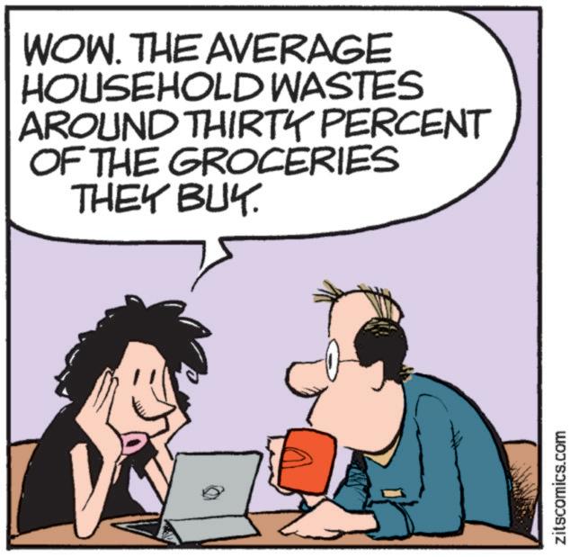 Computer hardware OCR: WOW. THE AVERAGE HOUSEHOLD WASTES AROUND THIRTY PERCENT OF THE GROCERIES THEY BUY zitscomics.com WOW . THE AVERAGE HOUSEHOLD WASTES AROUND THIRTY PERCENT OF THE GROCERIES THEY BUY zitscomics.com