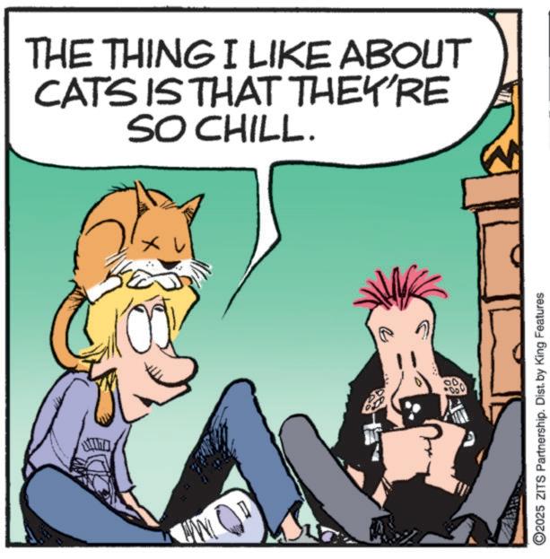 Animation OCR: THE THING I LIKE ABOUT CATS IS THAT THEY'RE SO CHILL. ? 0 ? ©2025 ZITS Partnership. Dist. by King Features THE THING I LIKE ABOUT CATS IS THAT THEY'RE SO CHILL . ? 0 ? © 2025 ZITS Partnership . Dist . by King Features