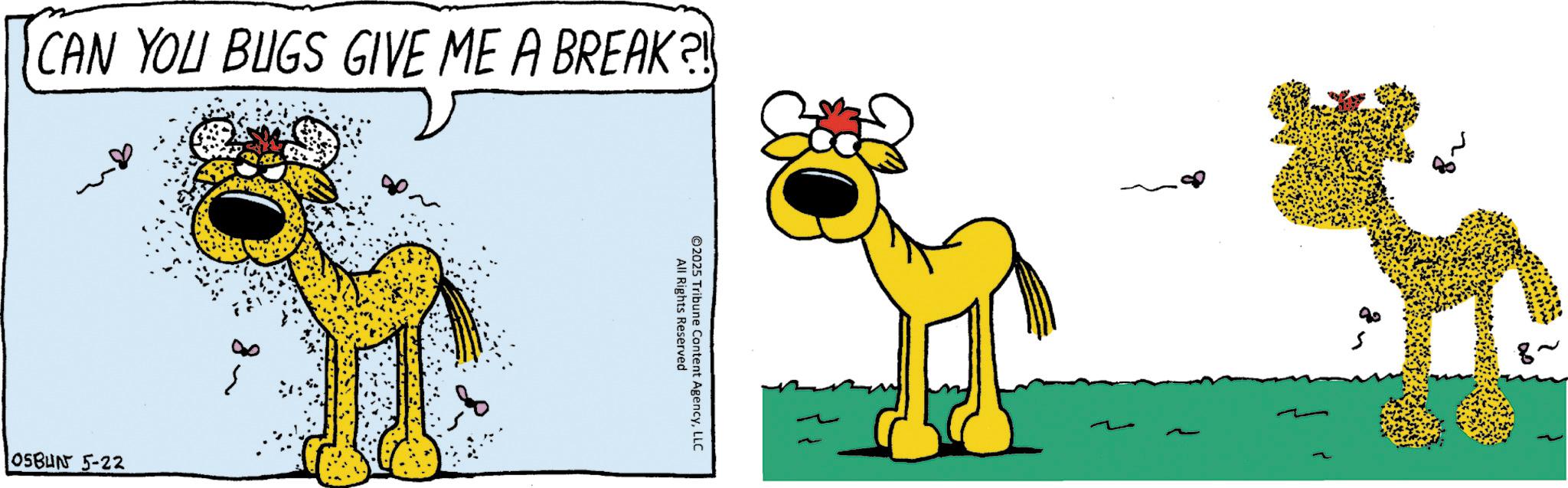 Fiction OCR: CAN YOU BUGS GIVE ME A BREAK?! OSBN 5-22 All Rights Reserved ©2025 Tribune Content AgencyLLC CAN YOU BUGS GIVE ME A BREAK ?! OSBN 5-22 All Rights Reserved © 2025 Tribune Content Agency