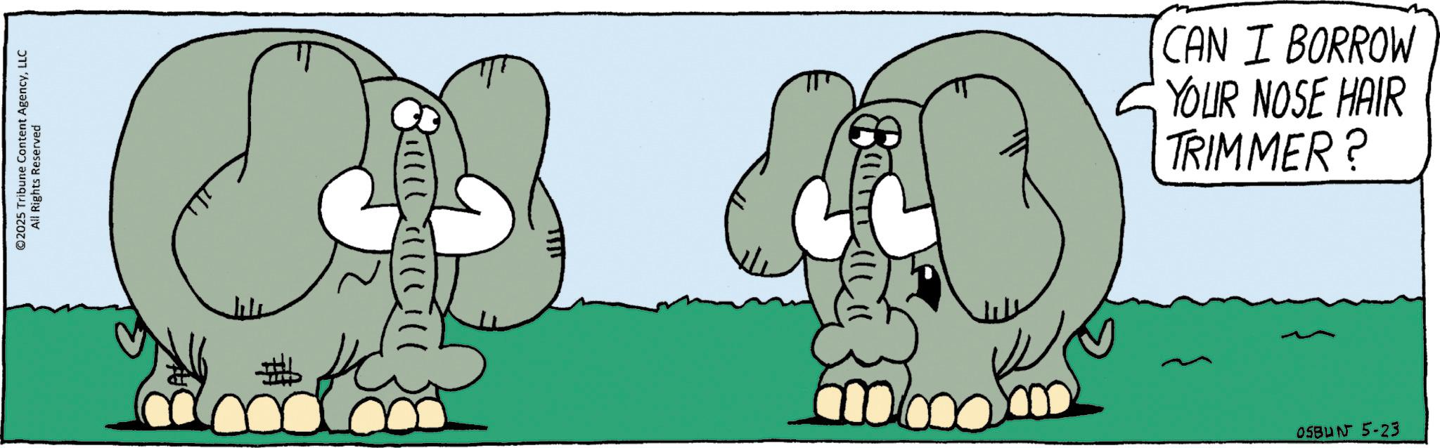 Line art OCR: ©2025 Tribune Content AgencyLLC All Rights Reserved ??? CAN I BORROW YOUR NOSE HAIR TRIMMER? 05BUN 5-23 © 2025 Tribune Content AgencyLLC All Rights Reserved ? ?? CAN I BORROW YOUR NOSE HAIR TRIMMER ? 05BUN 5-23