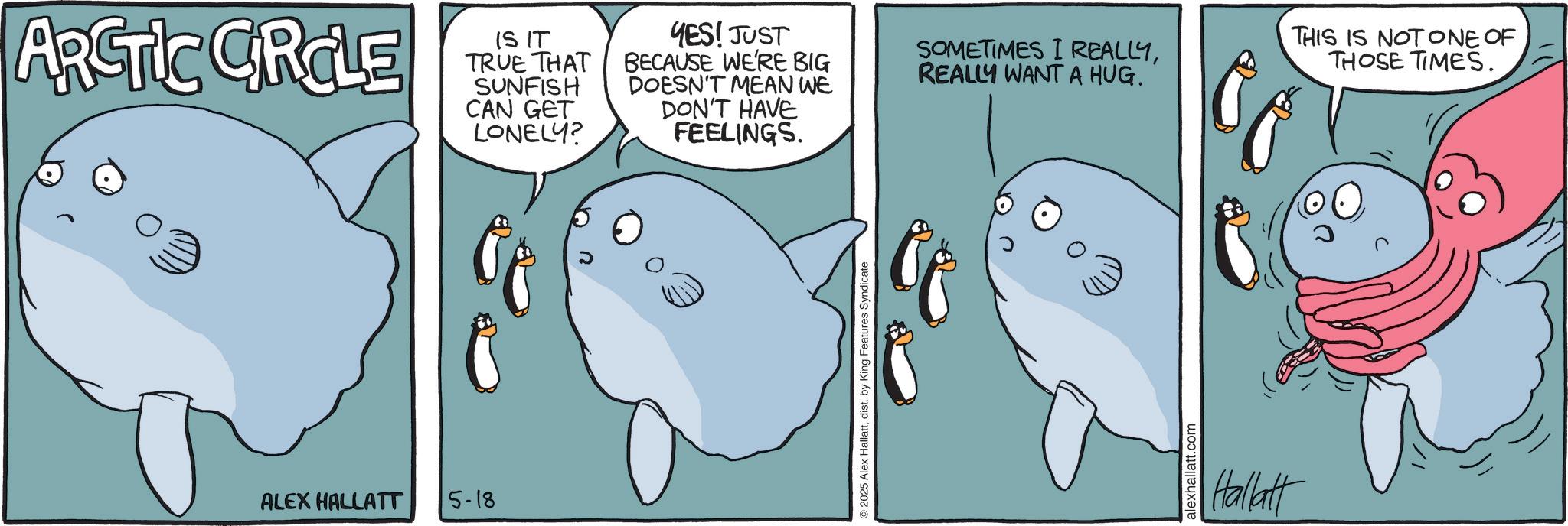 Animated cartoon OCR: ARCTIC CRCLE IS IT TRUE THAT SUNFISH CAN GET LONELY? YES! JUST BECAUSE WE'RE BIG SOMETIMES I REALLYREALLY WANT A HUG. DOESN'T MEAN WE DON'T HAVE FEELINGS. ALEX HALLATT 5-18 2025 Alex Hallattdist. by King Features Syndicate alexhallatt.com Hallatt THIS IS NOT ONE OF THOSE TIMES. ARCTIC CRCLE IS IT TRUE THAT SUNFISH CAN GET LONELY ? YES ! JUST BECAUSE WE'RE BIG SOMETIMES I REALLYREALLY WANT A HUG . DOESN'T MEAN WE DON'T HAVE FEELINGS . ALEX HALLATT 5-18 2025 Alex Hallattdist . by King Features Syndicate alexhallatt.com Hallatt THIS IS NOT ONE OF THOSE TIMES .