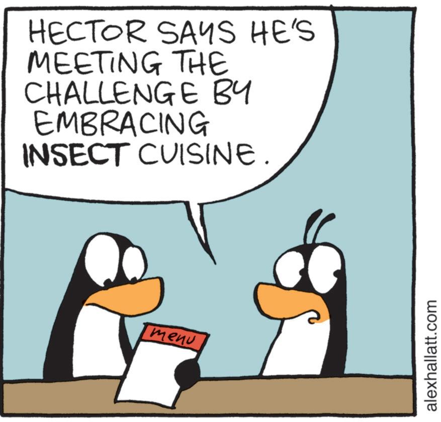 Photo caption OCR: HECTOR SAYS HE'S MEETING THE CHALLENGE BY EMBRACING INSECT CUISINE. menu alexhallatt.com HECTOR SAYS HE'S MEETING THE CHALLENGE BY EMBRACING INSECT CUISINE . menu alexhallatt.com