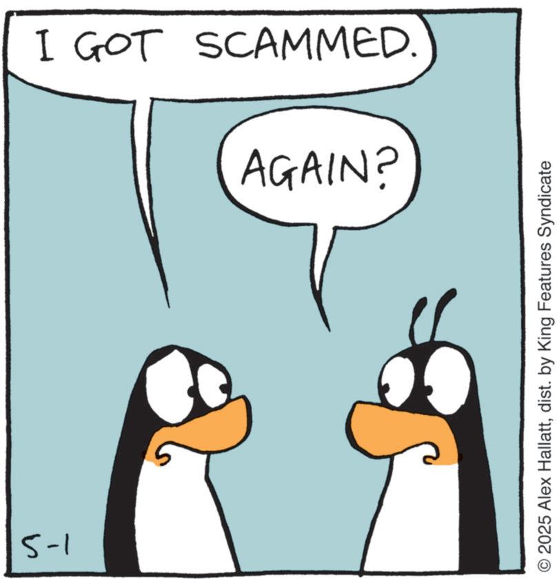 Photo caption OCR: 5-1 I GOT SCAMMED. AGAIN? © 2025 Alex Hallattdist. by King Features Syndicate 5-1 I GOT SCAMMED . AGAIN ? © 2025 Alex Hallattdist . by King Features Syndicate