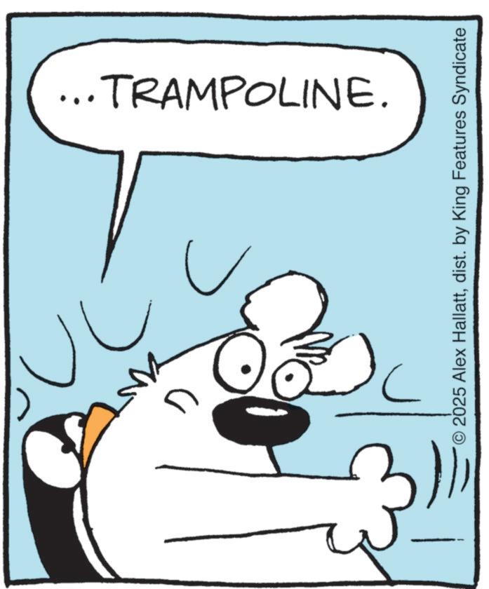 Fiction OCR: ...TRAMPOLINE. ?? ? 2025 Alex Hallattdist. by King Features Syndicate ... TRAMPOLINE . ?? ? 2025 Alex Hallattdist . by King Features Syndicate