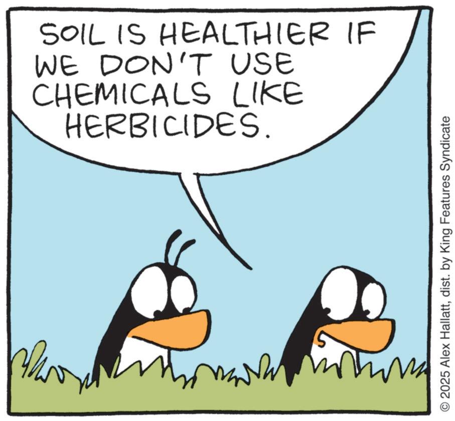 Animation OCR: SOIL IS HEALTHIER IF WE DON'T USE CHEMICALS LIKE HERBICIDES. WW 2025 Alex Hallattdist. by King Features Syndicate SOIL IS HEALTHIER IF WE DON'T USE CHEMICALS LIKE HERBICIDES . WW 2025 Alex Hallattdist . by King Features Syndicate