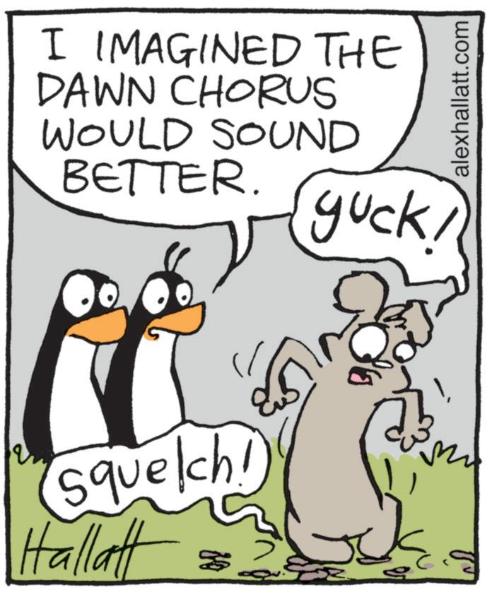 Animation OCR: I IMAGINED THE DAWN CHORUS WOULD SOUND BETTER. guck Squelch! Hallatt W alexhallatt.com I IMAGINED THE DAWN CHORUS WOULD SOUND BETTER . guck Squelch ! Hallatt W alexhallatt.com